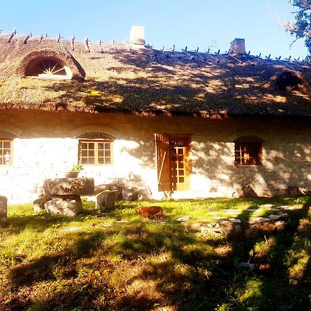 Paali Cottages Tornimae Екстер'єр фото