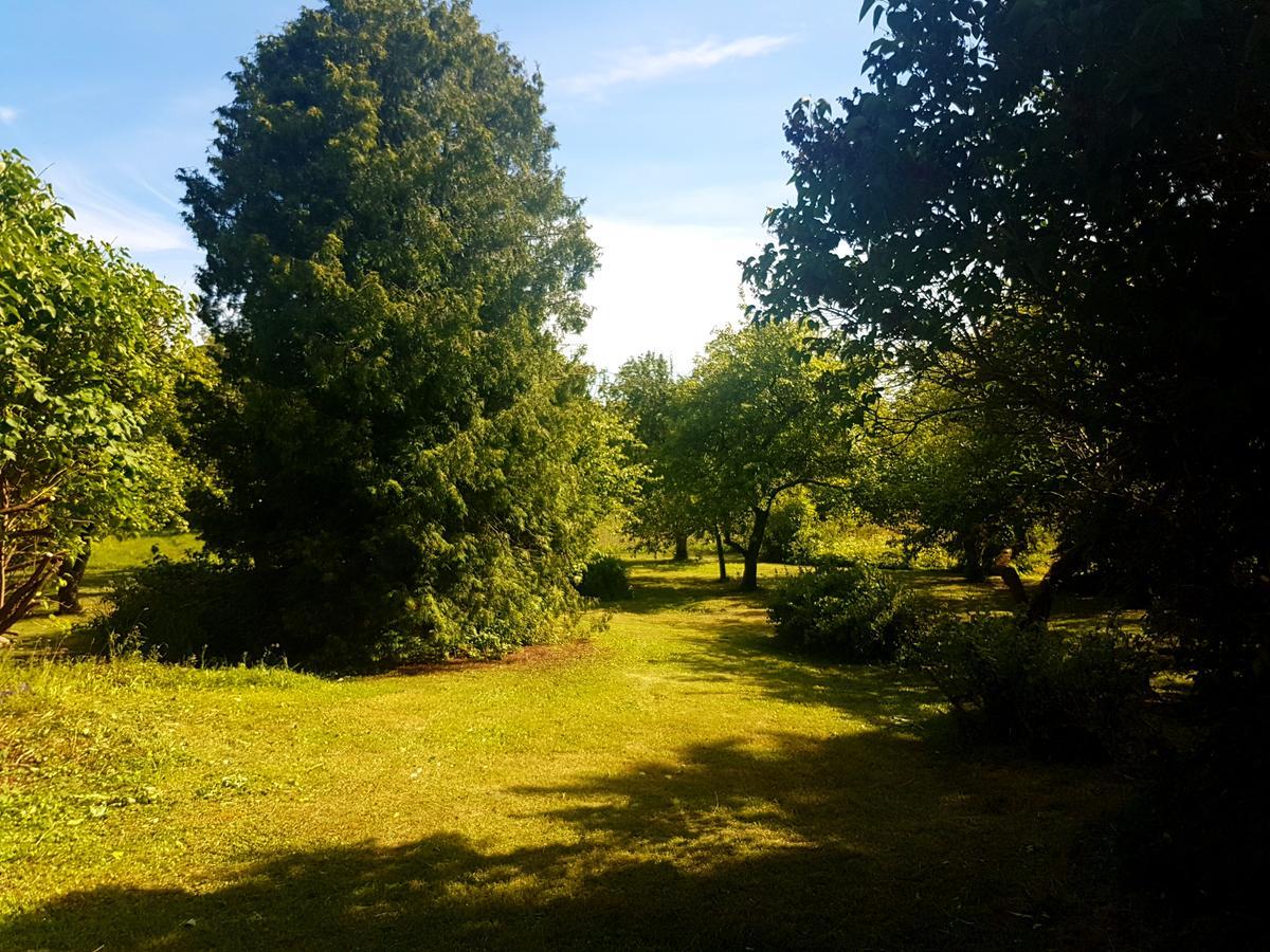 Paali Cottages Tornimae Екстер'єр фото
